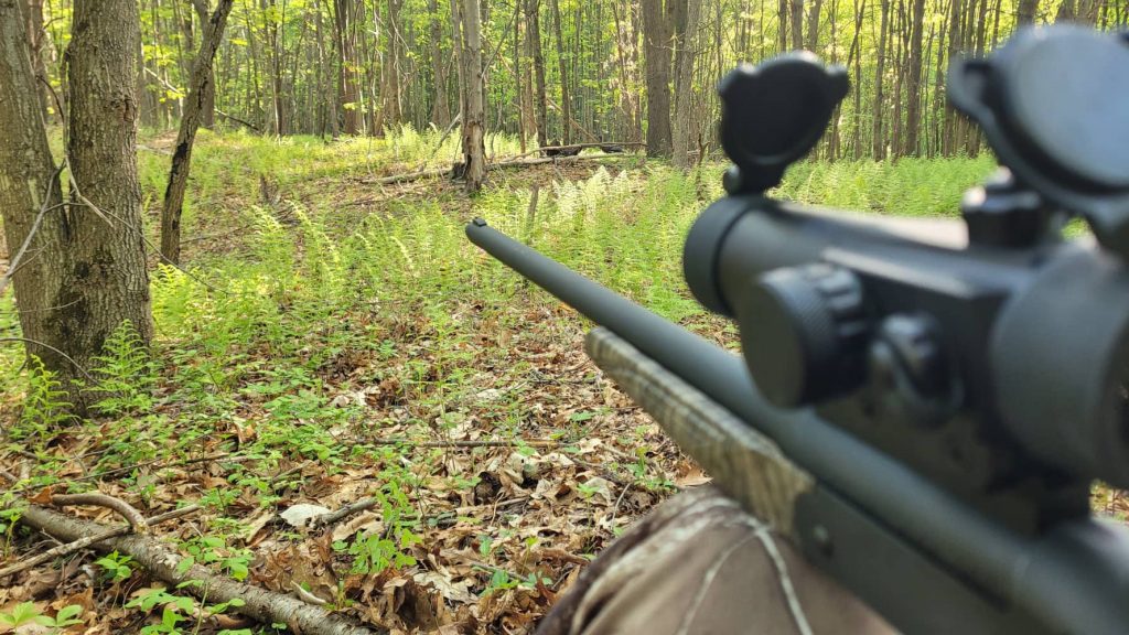 e-scouting for turkeys