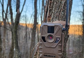 spring-trail-camera-strategies-for-offseason-to-build-smarter-fall-plan-feature