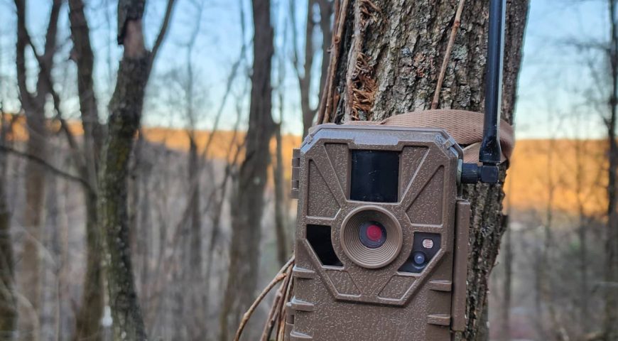 spring-trail-camera-strategies-for-offseason-to-build-smarter-fall-plan-feature