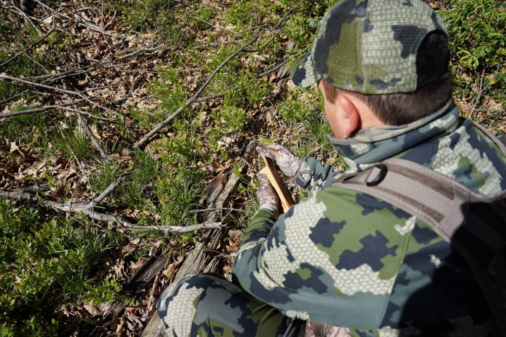 spring turkey season calling