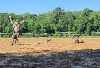 why-barometric-pressure-is-the-ultimate-turkey-hunting-predictor-feature