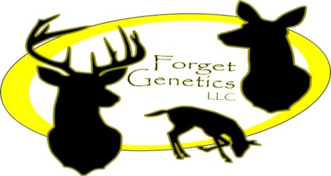 Forget Genetics