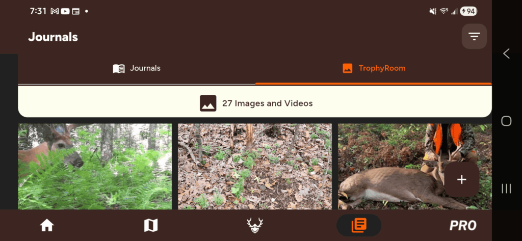 trail camera photos