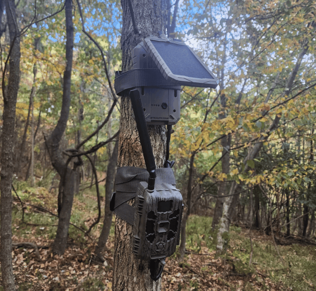 deer trail camera tips