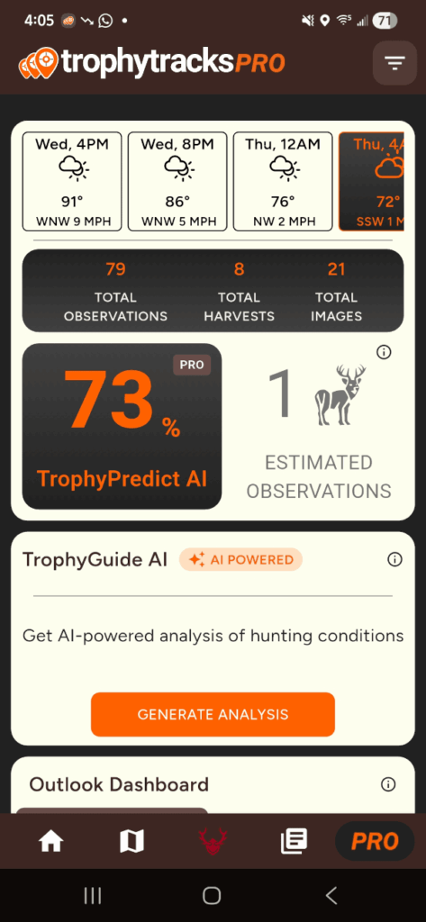 whitetail rut