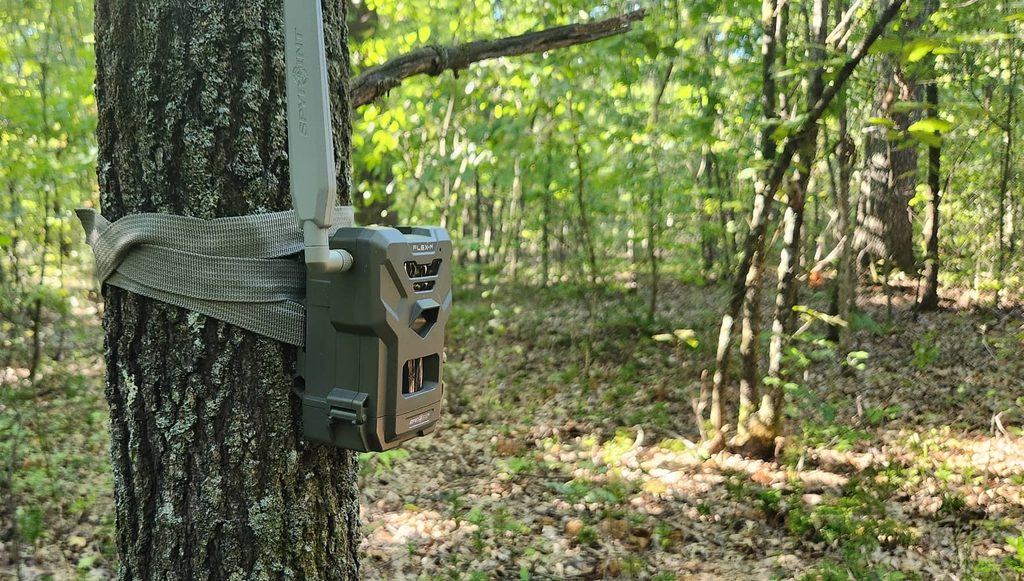 in-season trail camera tips